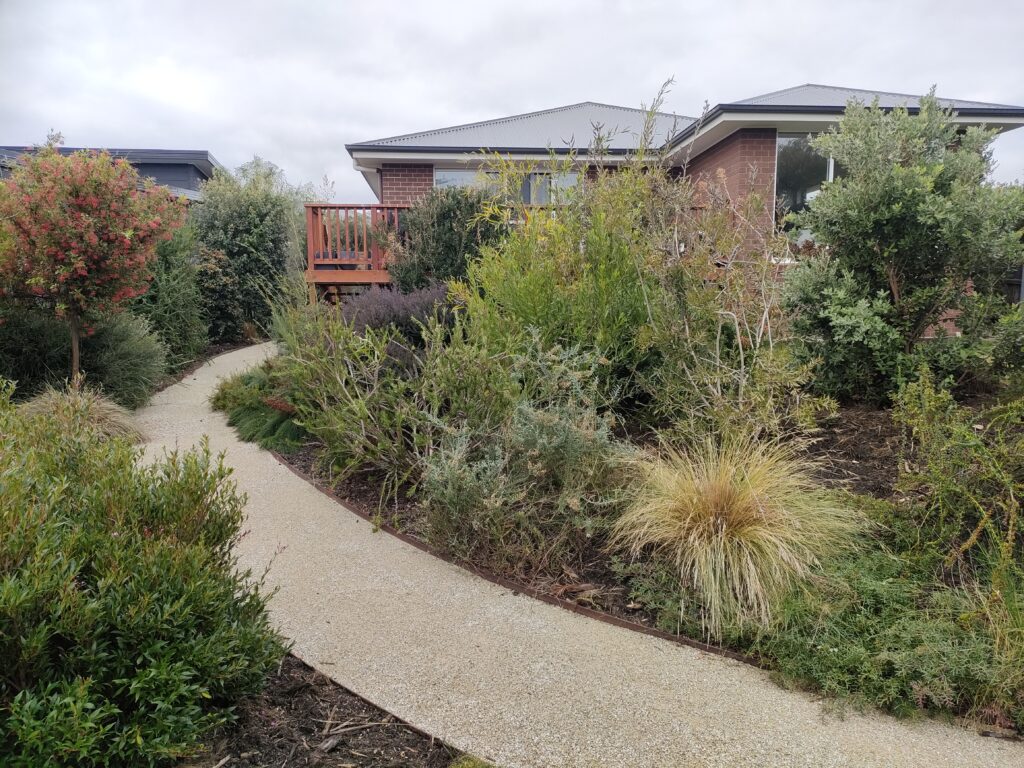 44b8b5f6-9562-4208-8786-8c0f80bf151f-plants-2